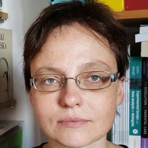 dr inż. Marta Wiśniewska